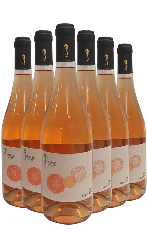 שישיית סוסון ים רוזה happy days